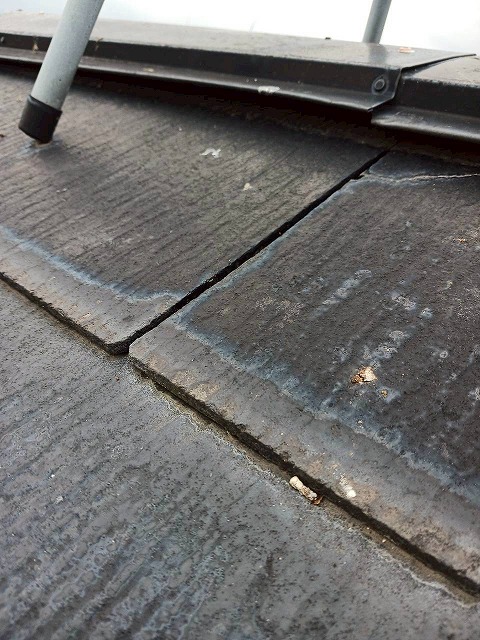 屋根点検も弊社におまかせ